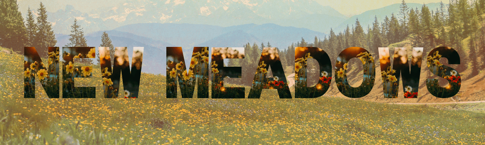 New Meadows, Idaho